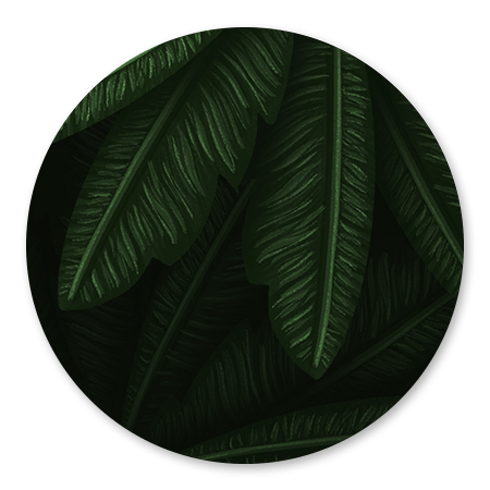 Jungle bladeren
